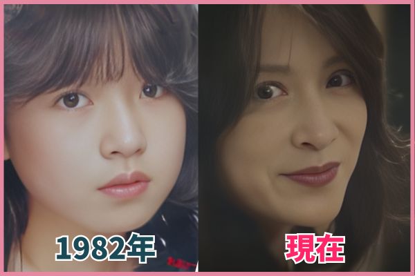 中森明菜さんの輪郭を昔の画像と比較